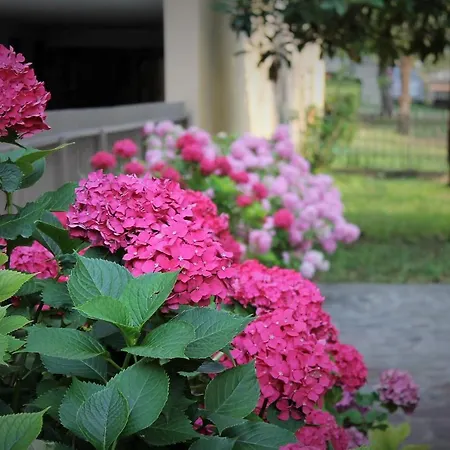 Casa Ortensia Appartamento *